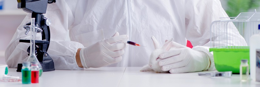 復(fù)原性試驗(yàn)