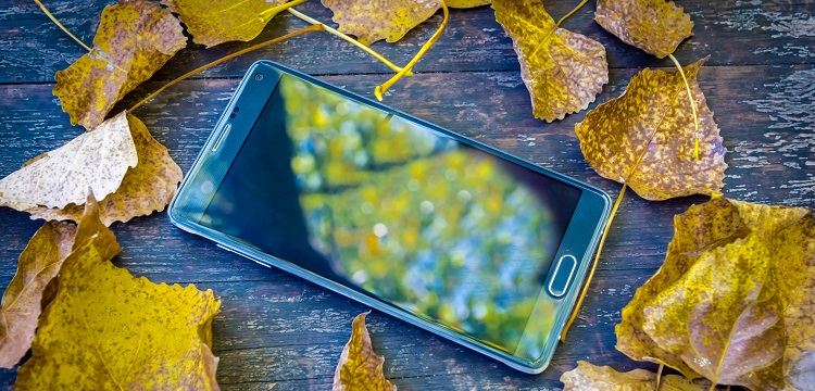 自動(dòng)沸騰試驗(yàn)