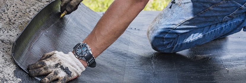 鐵過載小鼠的活動性結核病模型