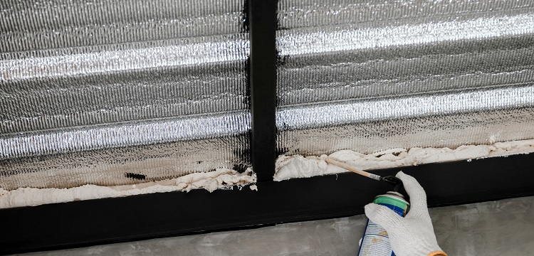 輻射免疫介導的小鼠再生障礙性貧血模型