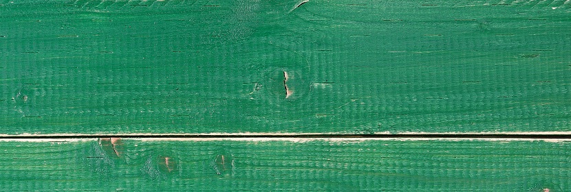 聚己內酯檢測
