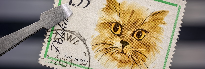 氧化亞銅檢測(cè)