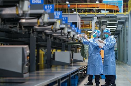 上海外貿韌性強勁 上半年走出V型修復態勢，國內貿易代理持續發力